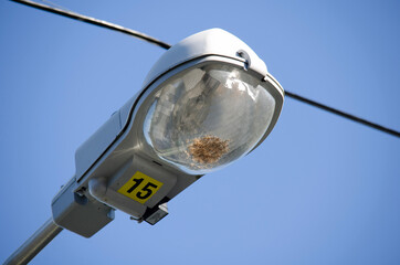 street lamp on blue sky