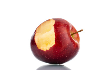 One sweet red bitten apple, close-up, isolated on white.