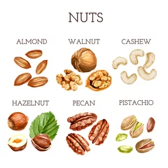Fotobehang Watercolor nut collection. different types of nuts with names © AnnKis