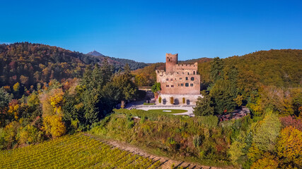 Château de Kintzheim- Volerie des Aigles Alsace 67 France