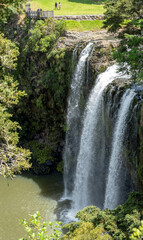 Whangarei falls with green scenery in South New Zealand