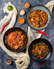 Asian food table with various kind of chinese noodles with chicken, pork, beef and others
