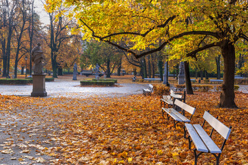 The Saxon Garden (Ogrod Saski) in Warsaw, Poland. Autumn scenery with alleys, fallen leaves and benches, public park in the city center.