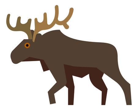 Moose icon. Cute horned elk. Standing deer