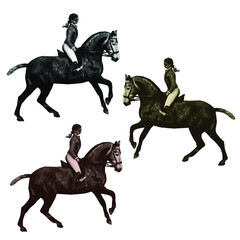 equestrian sport, a girl on a gray horse
