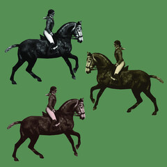 equestrian sport, a girl on a gray horse