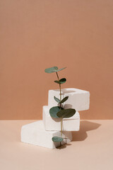 Podium made of natural stone with the shadow of a tropical leaf on the background for cosmetics, natural products. Beautiful background from natural materials.