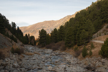 Colors of the autumn in St. Moritz.