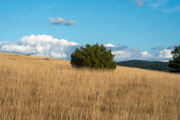 Steppe, Hochplateau, Les C&eacute;vennes, Frankreich