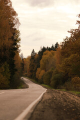 Fototapeta premium road in autumn forest