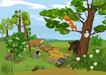 Grove biotope with different animals (mammals, birds, insects) and plants in their natural habitat. Ecosystem of forest
