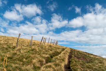 Wanderung, Volcans d'Auvergne, Thiézac, Cantal