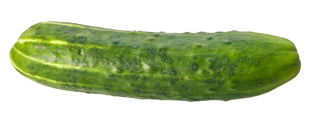  Single cucumber isolated on a white background