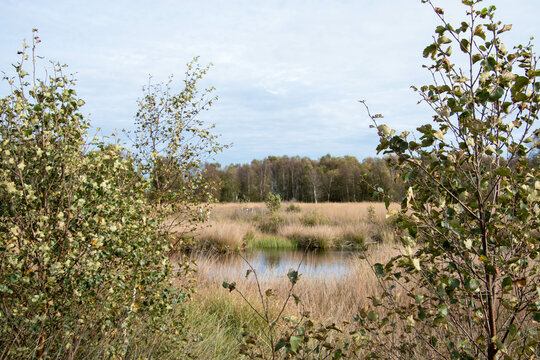 Moorsee am Naturlehrpfad Ewiges Meer in Eversmeer im Herbst