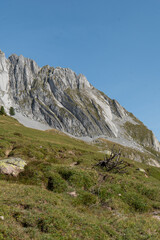 Fototapeta na wymiar Alpenfaltung, Geologie
