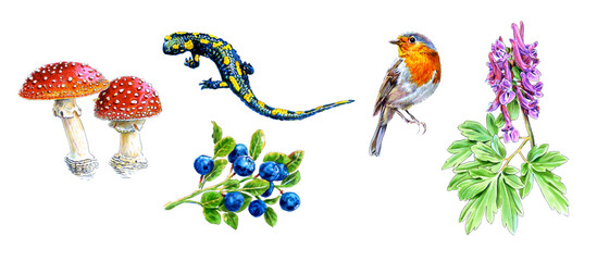 A set of forest animals and plants drawn with markers. For poster, stickers, sketchbook cover, print, your design.