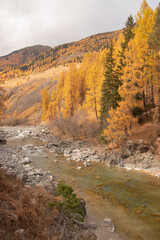 Colors of the autumn in St. Moritz..