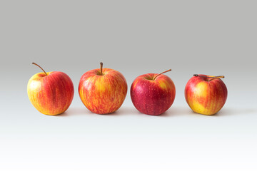 Four ripe yellow-red apples, laid out in a row on a light background