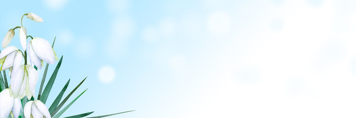 Delicate bouquet of yucca flowers with leaves on blue gradient background. Copy space. Hand drawn watercolor.