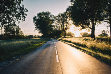 Spectacular sunset on the empty forest road