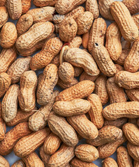 Fototapeta premium Healthy roasted unpeeled peanuts. Brown nuts texture