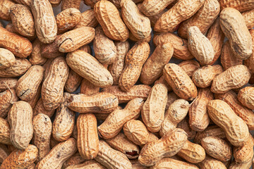 Fototapeta premium Healthy roasted unpeeled peanuts. Brown nuts texture