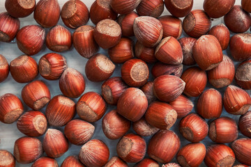 Healthy natural hazelnuts. Raw nuts texture