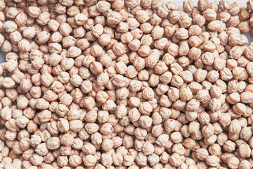 Natural and raw chickpeas. Fresh legumes close up