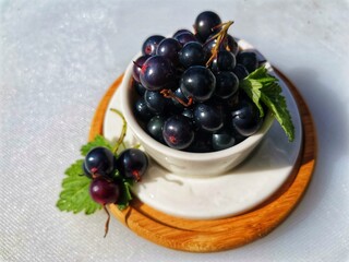 black currant in a bowl