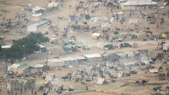 Pushkar, camel fair