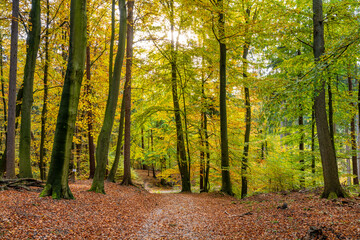 Hamburg, Germany. The Harburg Hills (German: Harburger Berge), a landscape of hilly forests, in...