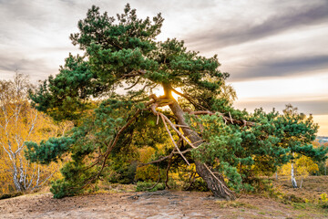 Hamburg, Germany. The Harburg Hills (German: Harburger Berge), a landscape of hilly forests, in autumn.