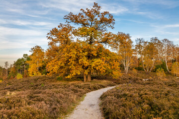 Hamburg, Germany. The Harburg Hills (German: Harburger Berge), a landscape of hilly forests, in autumn.