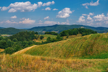 Obraz premium Beautiful summer landscape of National natural park – Low Tatras, Slovakia. Hills with dry grass, green trees and blue sky.
