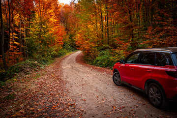 Red jeep on the side of the dirt road between fallen  leaves and trees in autumn - obrazy, fototapety, plakaty