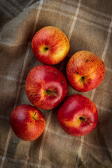 Freshly picked, red, tempting yellow, autumn field apples