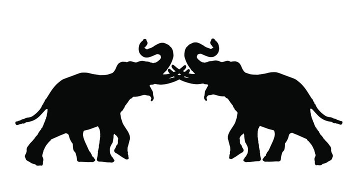 Elephant male battle for female mating vector silhouette illustration isolated on white. African animal, alert of poacher. Elephants fight for the right to mate silhouette. Africa safari attraction.