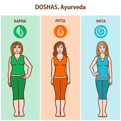 The doshas. 3 types of physical constitution: Kapha, Pitta, Vata. Ayurveda.