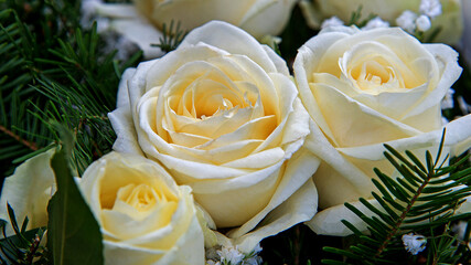 White inflorescences of ornamental plants used in wreaths and tombstones in the city of Białystok in Podlasie, Poland.