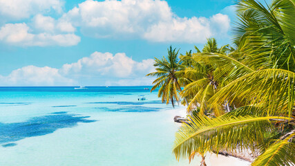 aerial view of one of the most beautiful caribbean beaches, Saona, Dominican Republic 