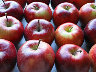 Red apples, close-up