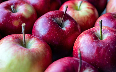 Red apples, close-up
