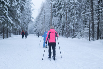 People ski in the winter in the forest.Cross country skilling.