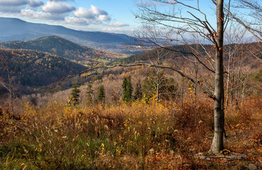 Fototapeta premium Straconka Valley, Little Beskids, Poland, autumn panorama