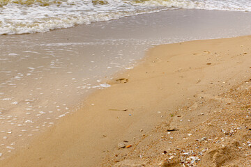 Footprints on the wet sand of the beach.