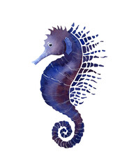 Fototapeta premium Illustration of a sea horse in watercolor in blue