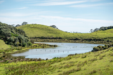 Fototapeta na wymiar View of the Mimiwhangata Bay, New Zealand