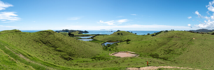 Fototapeta na wymiar View of the Mimiwhangata Bay, New Zealand