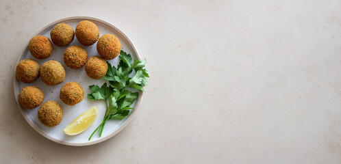 Fresh chickpea falafel. Healthy eating. Vegetarian food.