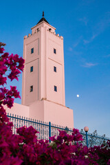 the tower of the castle